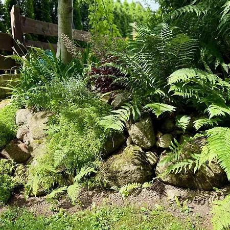 Appartamento Maya I *