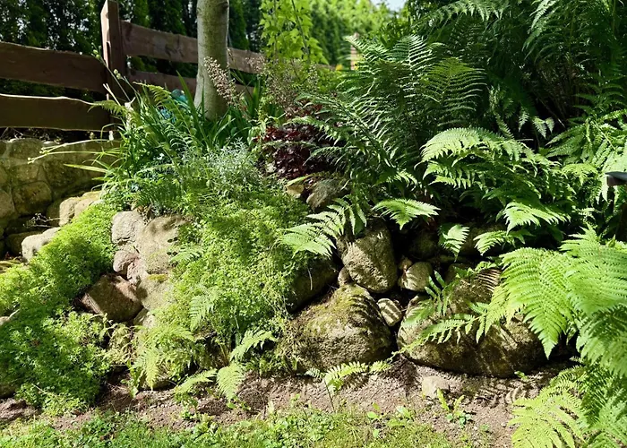 Appartement Maya I *